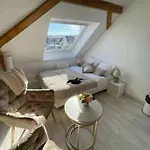 Esprit Palace, Coeur De Mulhouse